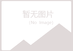 乐至县夜山能源有限公司